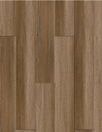 9903 Spotted Gum