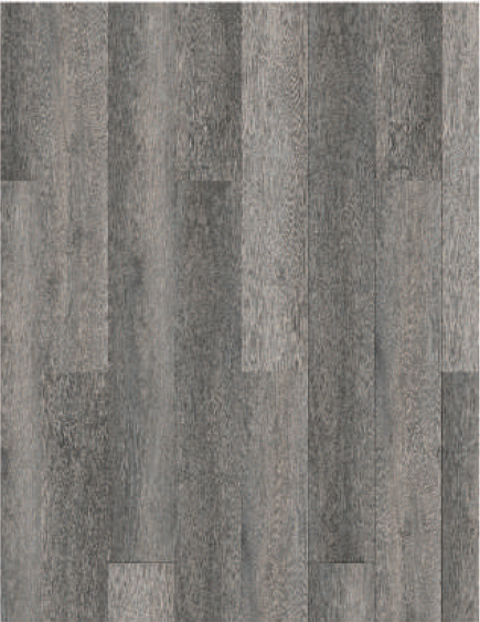 9904 Cairo Oak