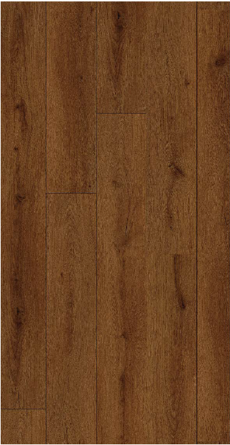 9906 Thyrn Oak