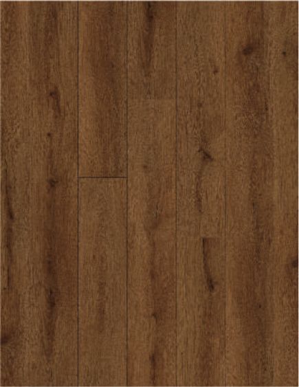 9906 Thyrn Oak