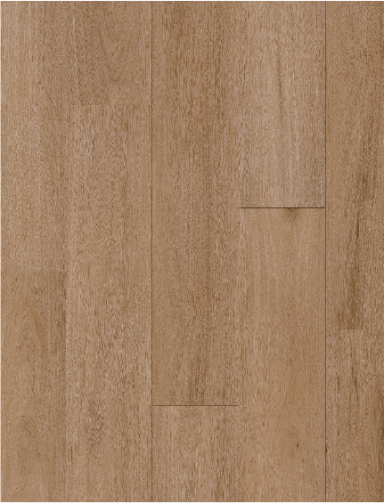 9909 Blackbutt