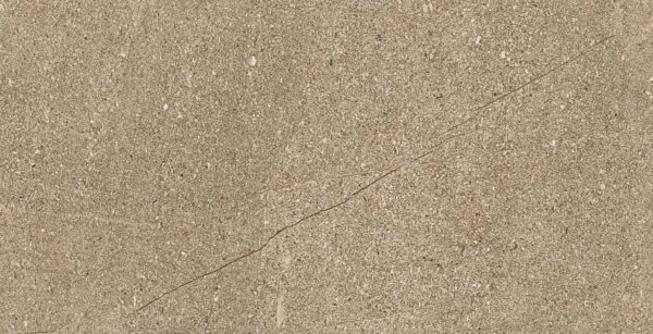 BEECH BRONZE