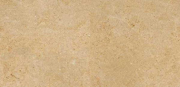 PRIVLEDGE OCRE