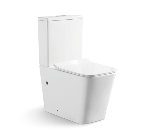 Toilet ACQUA-IV