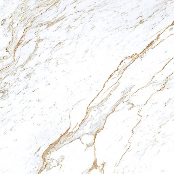 ZEUS WHITE_F3 (1)