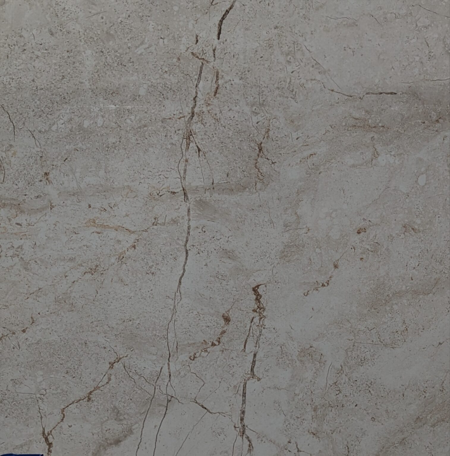 KASHMIR MARFIL (HD Polished ) 800×800 (11mm) Kajaria Tiles